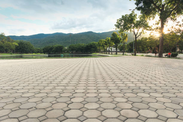 Best Professional Driveway Pavers  in Kealakekua, HI
