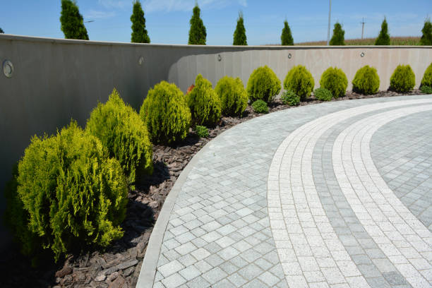 Best Affordable Driveway Pavers  in Kealakekua, HI